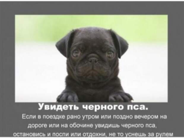Автомобильные приметы.