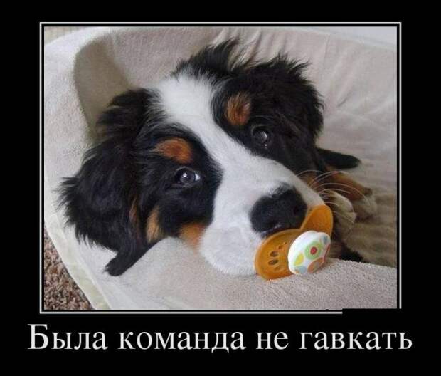 Демотиваторы демотиваторы, юмор