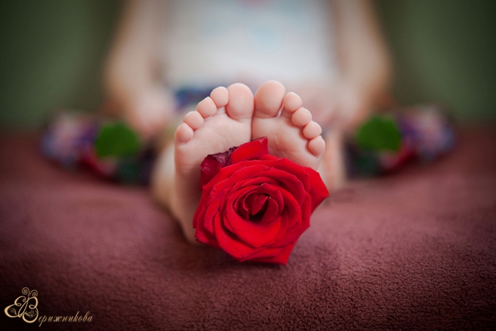 2795685_1146635 (700x466, 156Kb)