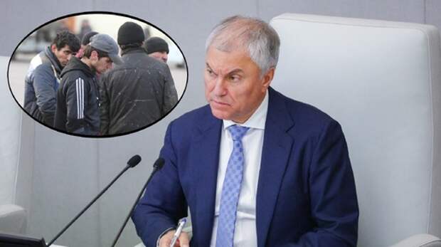 "Зачем их пускаете табунами?" Поводы для высылки мигрантов вызвали вопросы у россиян