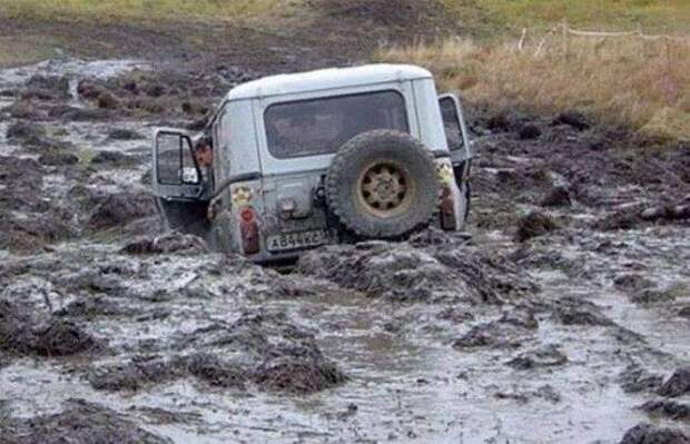 Свежий юмор Свежий юмор
