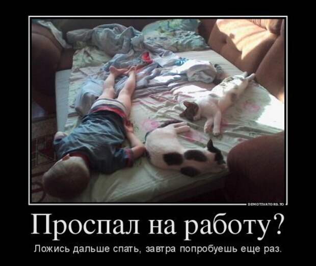 Пачка демотиваторов №2 - завершение серии Пачка демотиваторов №2 - завершение серии