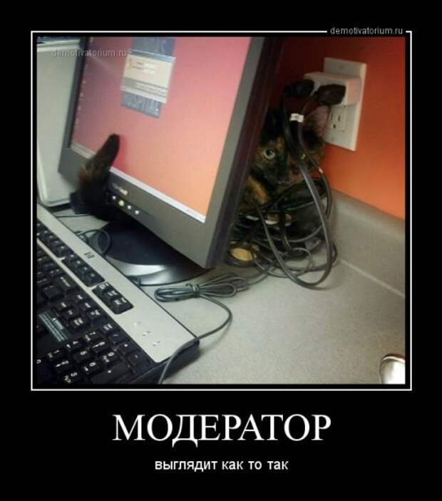 Новые демотиваторы (15 шт)