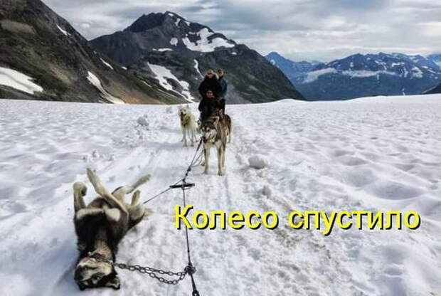 Лучшие котоматрицы недели (50 фото) Лучшие котоматрицы недели (50 фото)