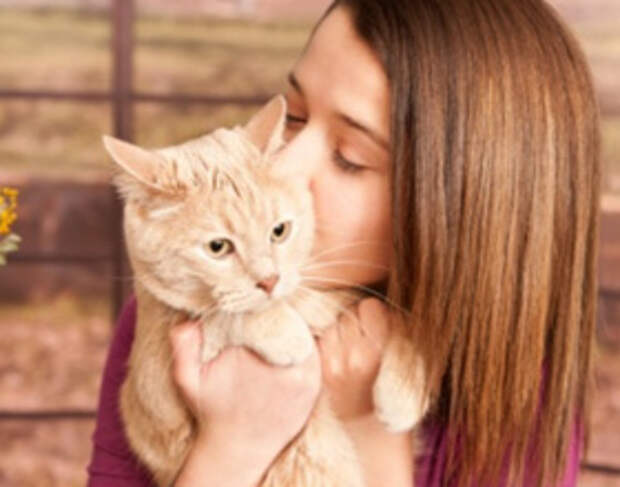 Почему нельзя целовать котов