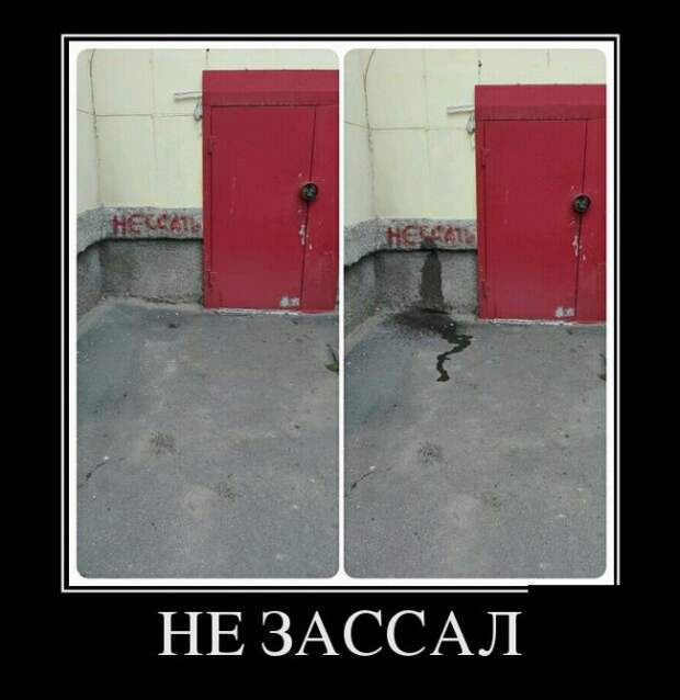 Демотиваторы (30 фото)