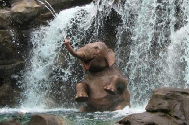 Мир принадлежит тому, кто ему рад