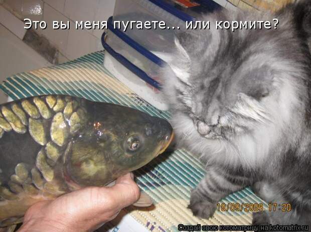 Это вы меня пугаете... или кормите?