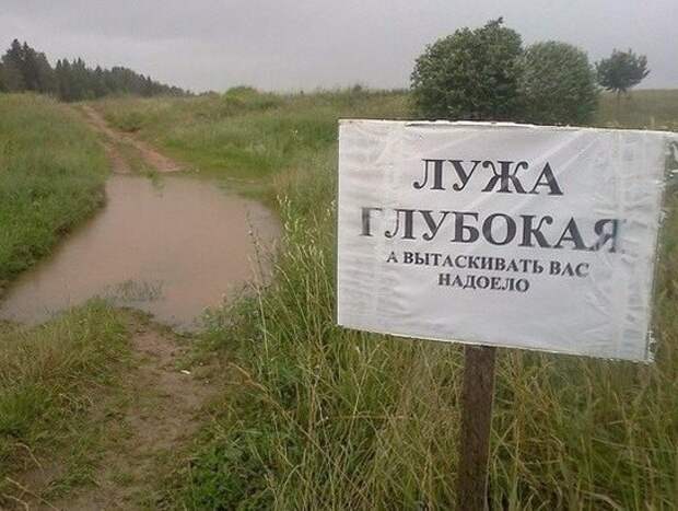 Смешные картинки с надписями прикол, юмор