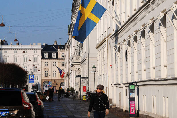 Швеция устроила демарш послу России из-за беспилотника