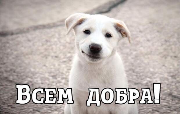 Смешные картинки с подписями катинки, прикол, юмор