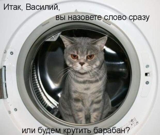 Подборка приколов подборка, прикол, хохма, юмор