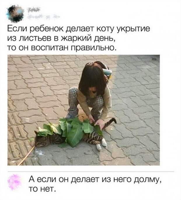 Комментариии пользователей, которые могут превратить в шутку все что угодно Комментариии пользователей, которые могут превратить в шутку все что угодно