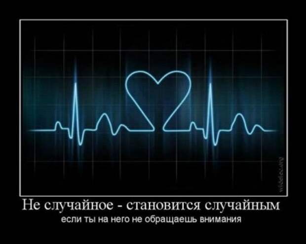 Демотиваторы приколы картинки, заряд отличного настроения!