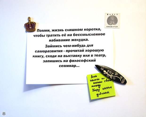 Смешные записки на холодильнике 23