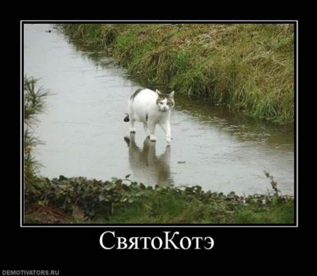 Демы картинки прикольные.