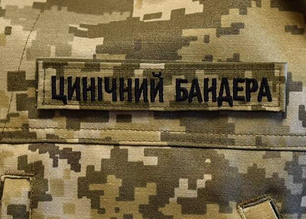 Порошенко надел камуфляж с надписью "Циничный Бандера"