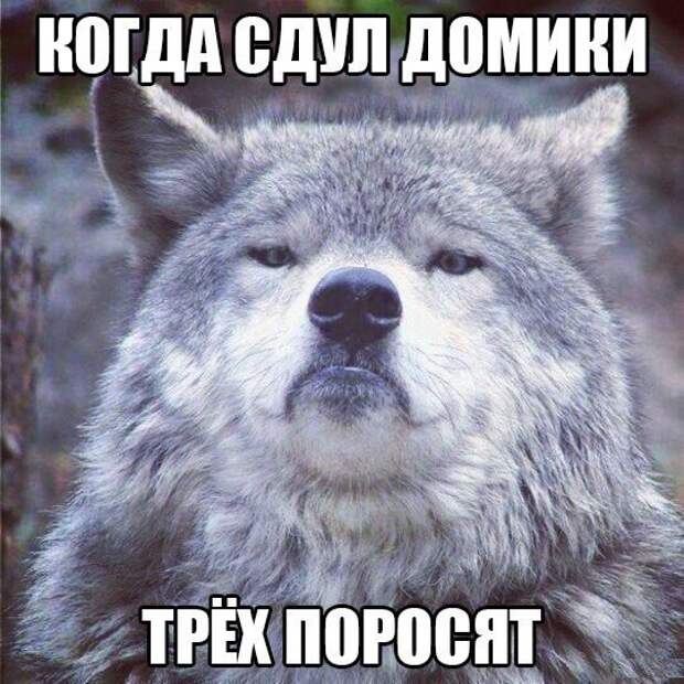Смешные картинки с надписями прикол, юмор