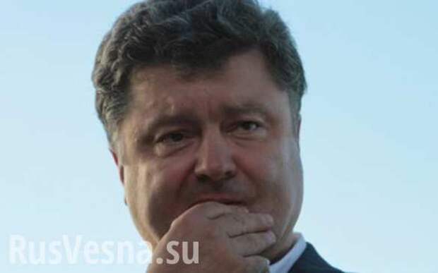 Порошенко оценил повышение боеспособности «киборгов» в два «Мистраля» | Русская весна