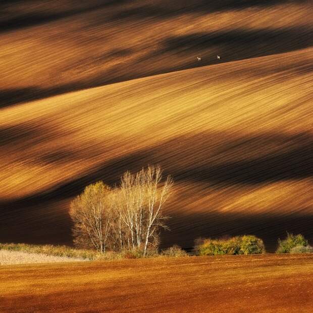 Завораживающие фотографии без фотошопа