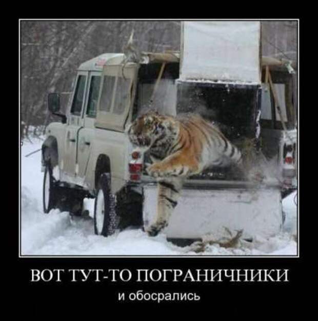Cвежие демотиваторы
