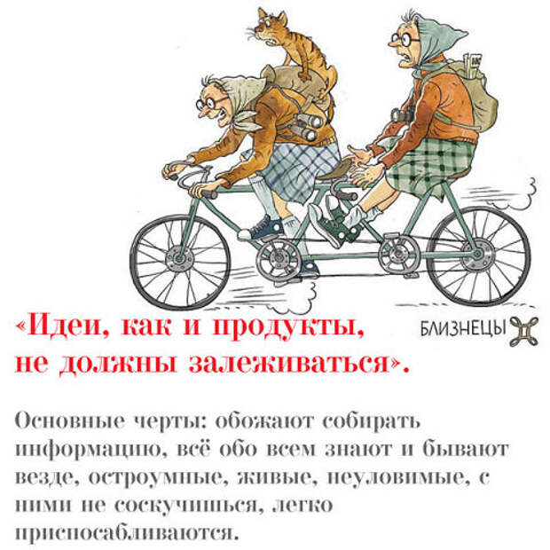Знаки зодиака в бабках