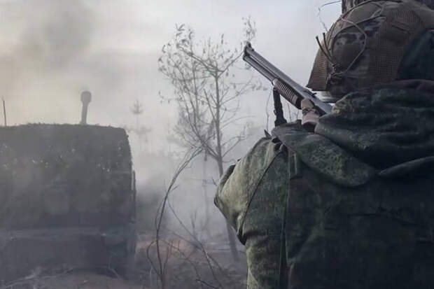 Тихая весна: как деревья на полях Украины стали секретным оружием России