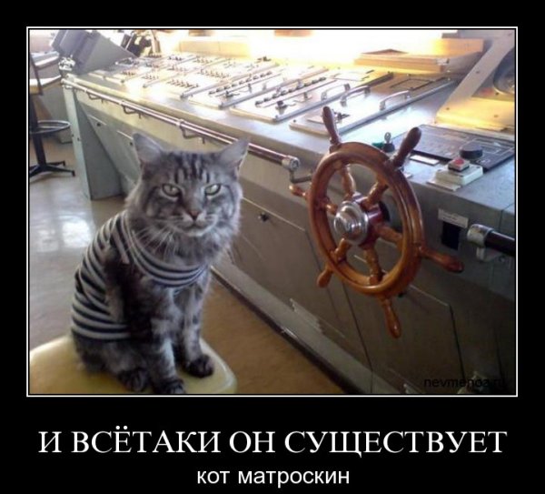Демотиваторы (30 фото) Демотиваторы (30 фото)
