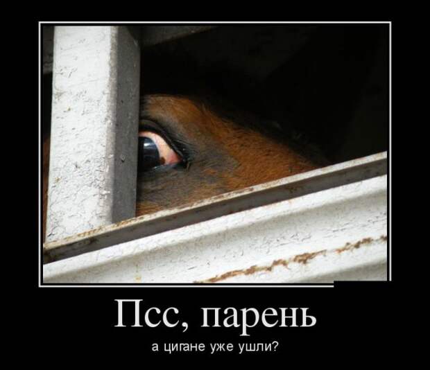 Демотиваторы (30 фото)