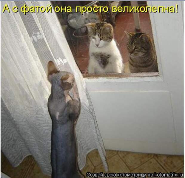 Мысли вслух :)