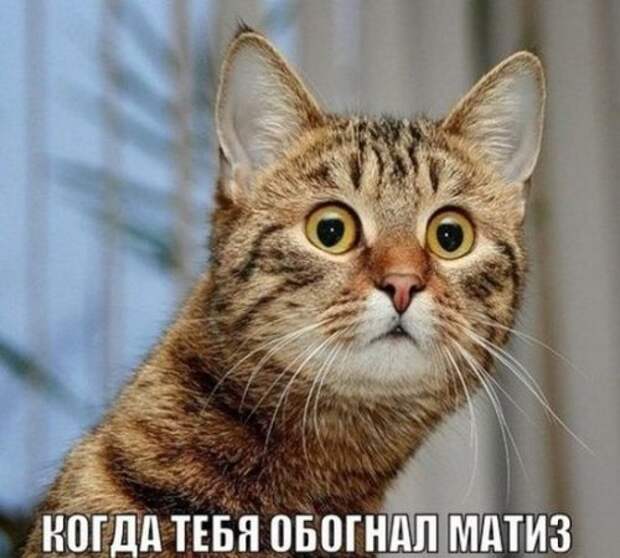 Фотоприколы на автотематику (30 шт)