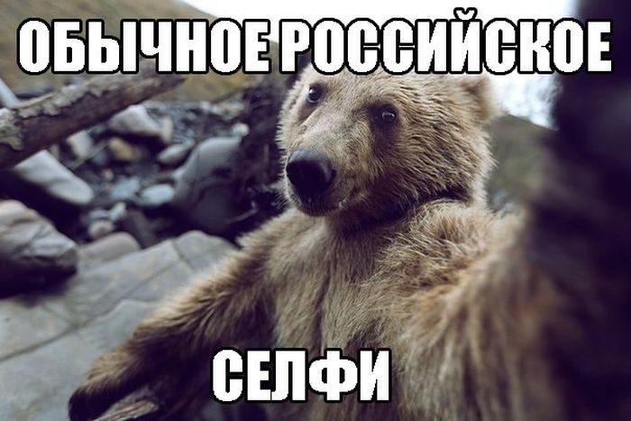 Смешные картинки с подписями катинки, прикол, юмор