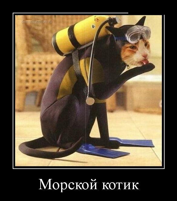 Пятничная подборка демотиваторов