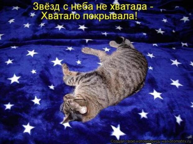 Котоматрицы (картинки с надписями)