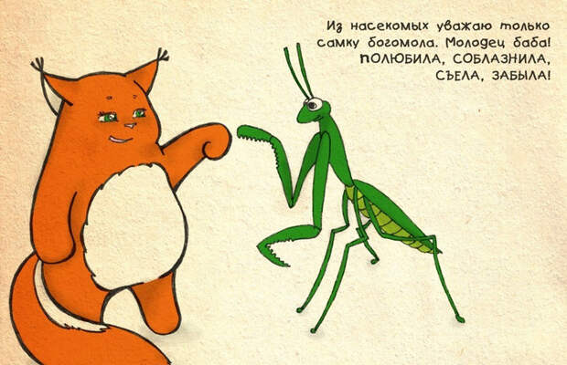 20 комиксов о белке Ши, которые поймёт каждая девушка 20 комиксов о белке Ши, которые поймёт каждая девушка белка, девушка, комикс