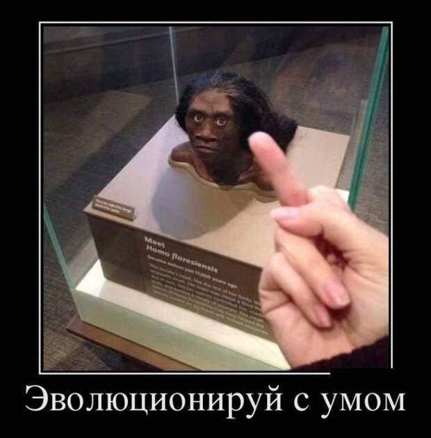 Эволюционируй с умом демотиватор, юмор