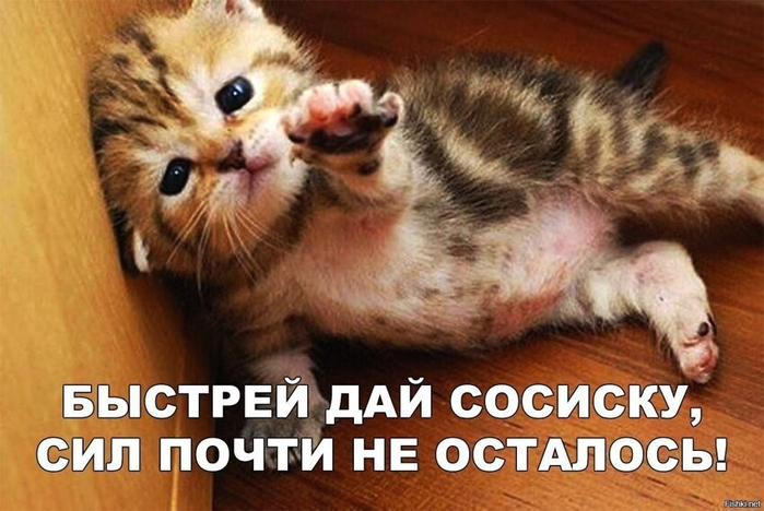 e385e626d08506cbb574bffedb40efa2 (700x468, 340Kb)