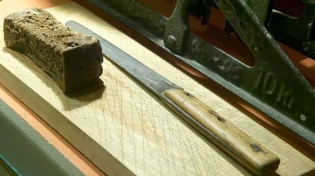 В США 81-летний пенсионер убил и расчленил жену и дочь из страха стать бездомным