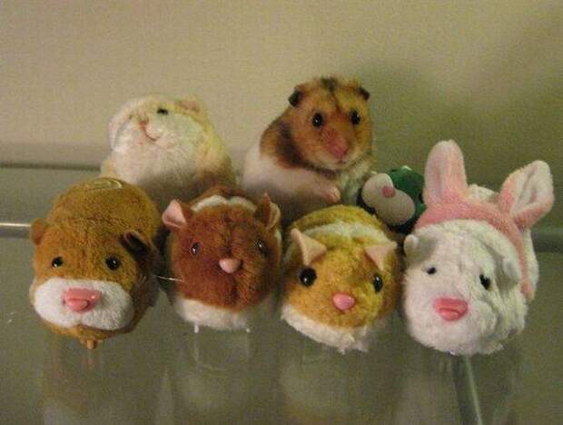 Прикольные картинки абавсём:D (06.08.15)