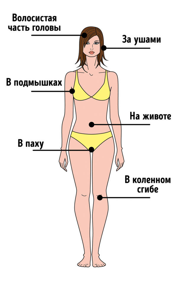 Чем грозит нападение клеща?