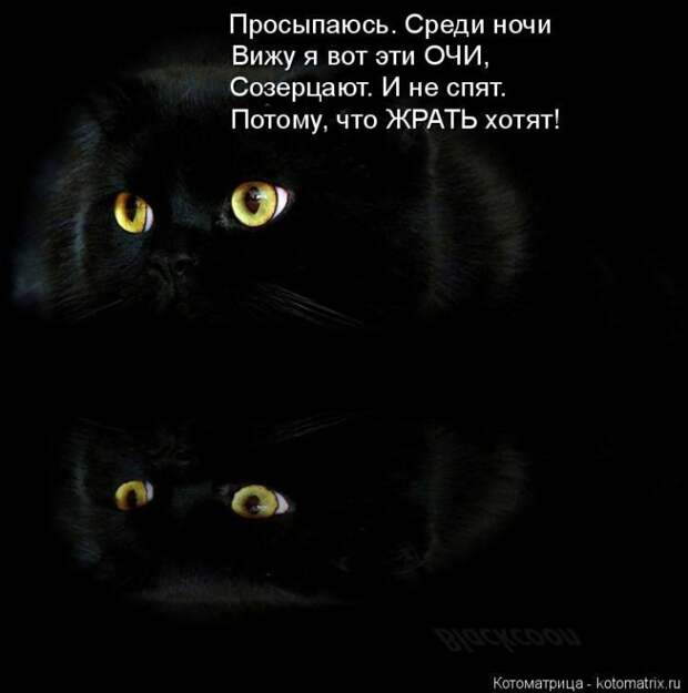 Мысли вслух :) №150118