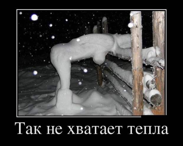 Демотиваторы демотиваторы, прикол, смех, юмор