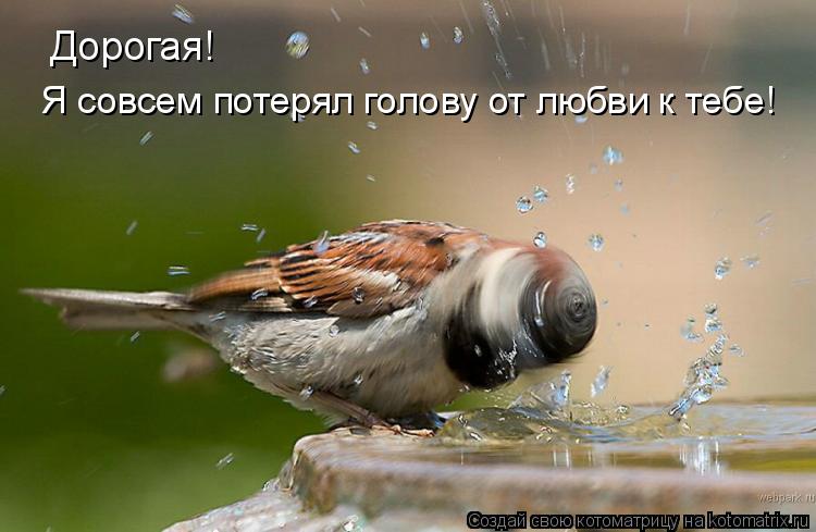 http://kotomatrix.ru/images/lolz/2008/09/16/gj.jpg
