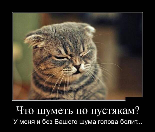 Пятничная подборка демотиваторов  демотиватор, юмор
