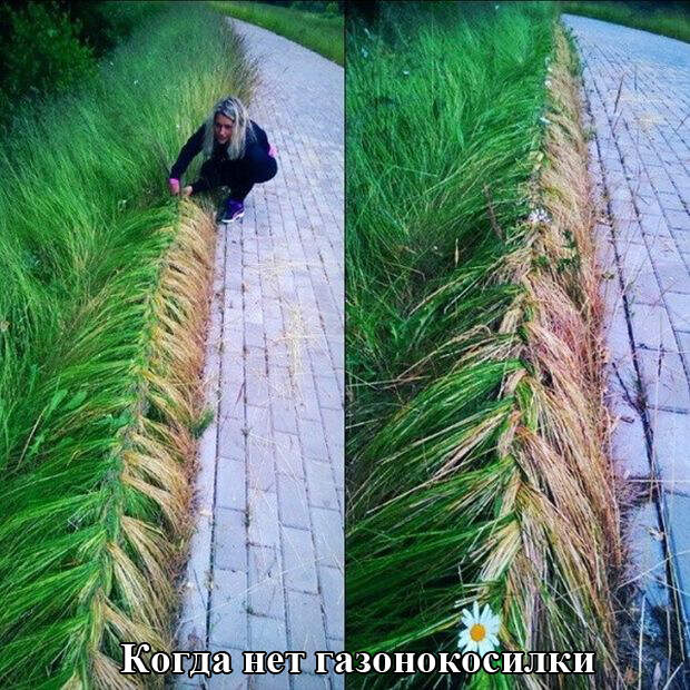 Прикольные картинки (92 фото)
