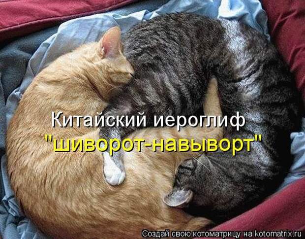 Мысли вслух :)