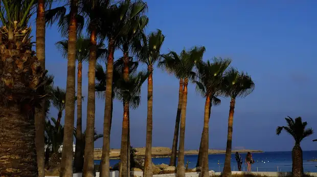 Кипр признал «Спутник Лайт» в качестве бустерной вакцины для привитых туристов из России