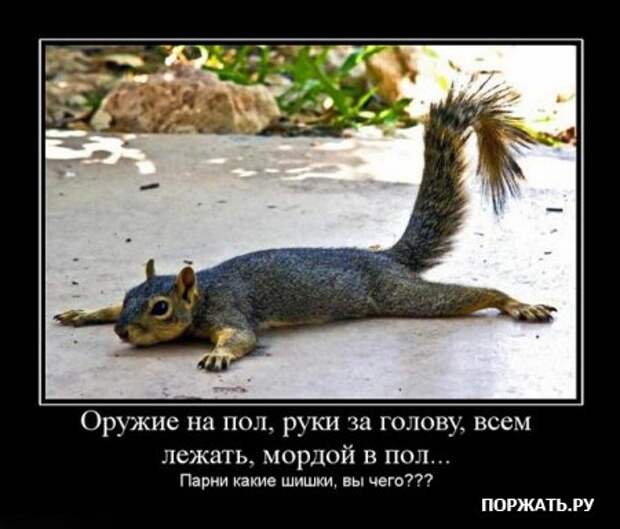 Коллекция демотиваторов