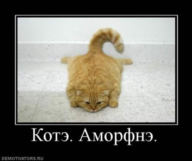 Демотиваторы про котэ, почти как котоматрицы!
