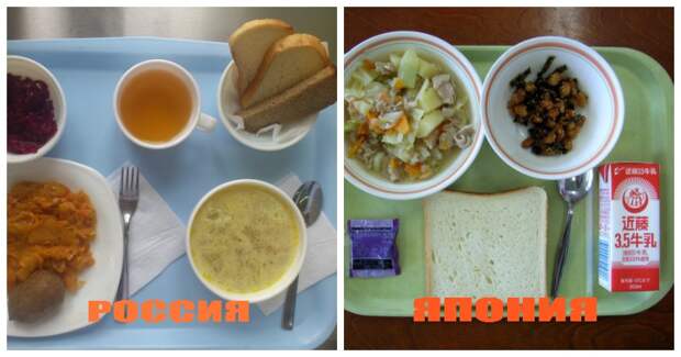 Как выглядят школьные обеды в разных странах мира